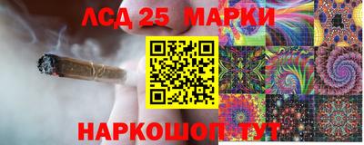 МДПВ Партизанск
