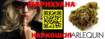 МДПВ Партизанск