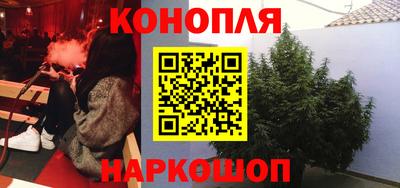МДПВ Партизанск