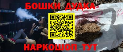 МДПВ Партизанск