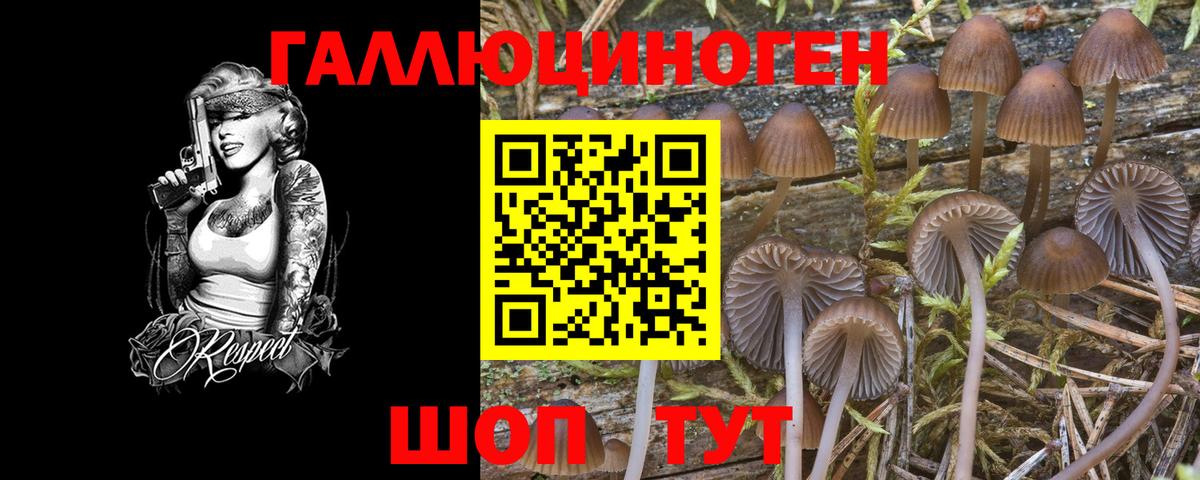 Семёнов  Галлюциногенные грибы MAGIC MUSHROOMS  Вход с VPN 